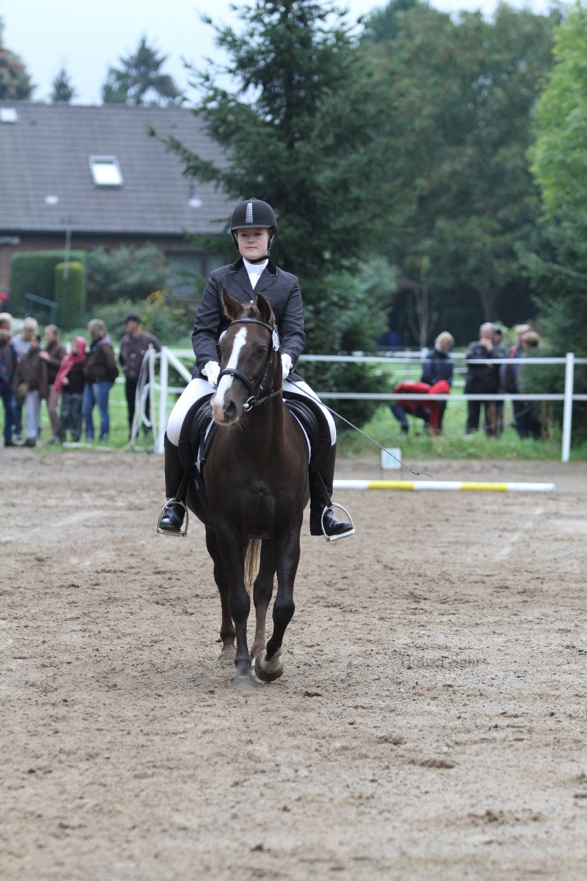 Bild 454 - WBO-Turnier am 18.9.11